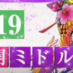 沖海5 桜319バージョン|初打ち評価&感想、Twitter報告まとめ