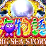 P大海物語5 新台Ver.|スペック・攻略情報