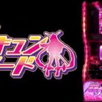 スロットモモキュンソード|スペック・解析情報
