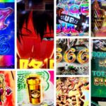 ダンベル何キロ持てる パチンコ|初打ち評価&感想、Twitter報告まとめ