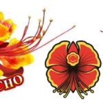 三洋(SANYO)社、『OHGOCHO』等を商標出願