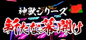新台『ドラゴンハナハナ閃光-30』本編PVが公開 ─「シリーズNo.1のBIG確率、脳裏に残るハイビスカス」