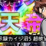 P弾球黙示録カイジ沼5 超欲望129Ver.|スペック・攻略情報