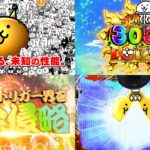 新台『にゃんこ大戦争-多様性のネコ-』本編PVが公開|降臨ガチャ成功で3000個BONUS、キャラ総勢50種類以上、下位RUSHなんて存在しない!
