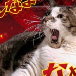 スロットなめ猫|スペック・解析情報