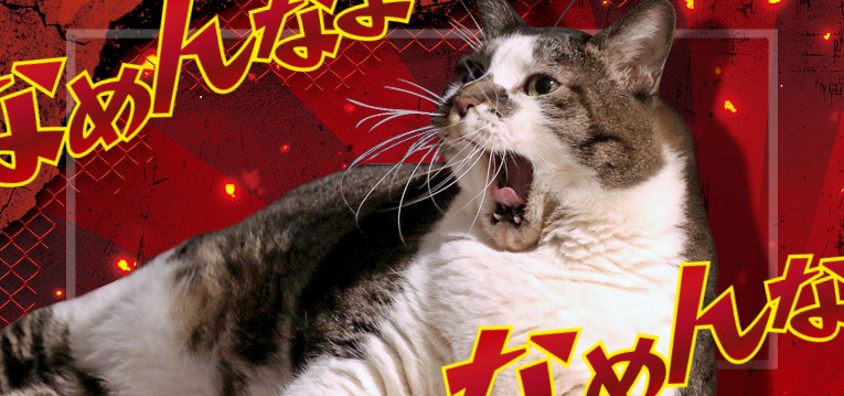 スロットなめ猫|スペック・解析情報