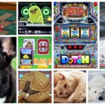 アニマルスロットドッチ スマスロ｜初打ち評価＆感想、Twitter報告まとめ