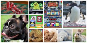 アニマルスロットドッチ スマスロ｜初打ち評価＆感想、Twitter報告まとめ